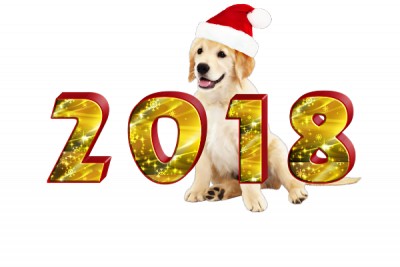 С наступающим, новым 2018 годом !